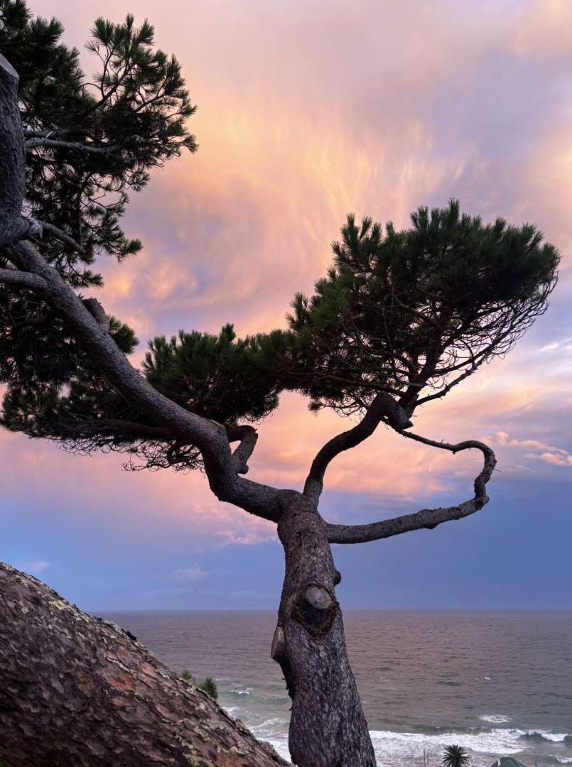 4 Bedroom Property for Sale in St James Western Cape